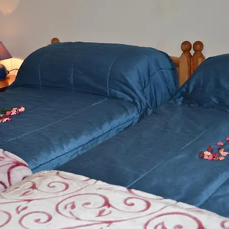 شقة Casa Vacanze Primule